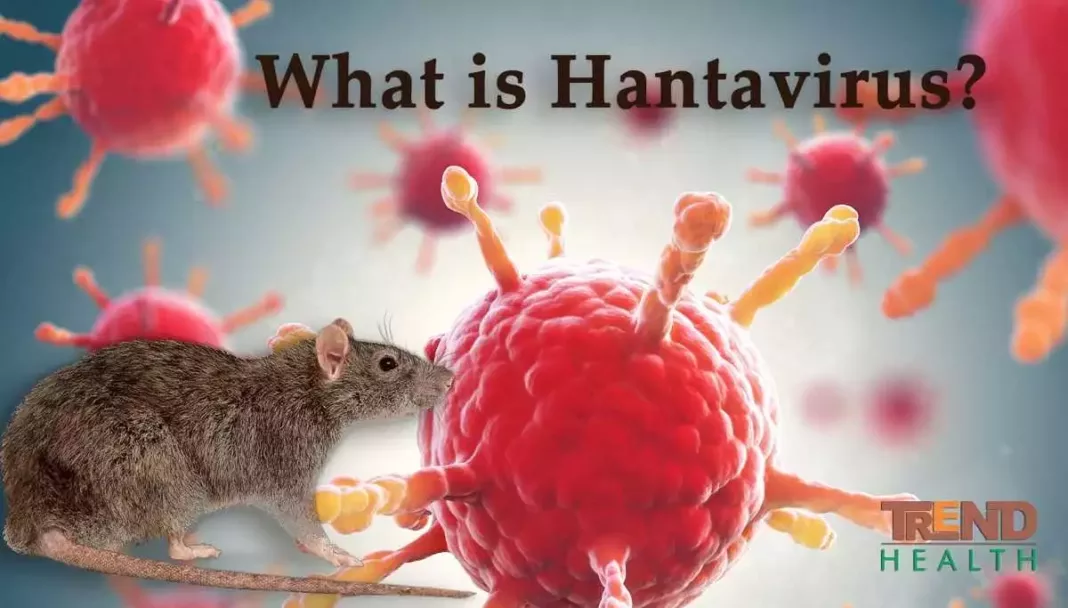 What is Hantavirus?, trend health