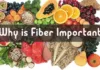 Why is Fiber Important?, Trend Health