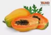 Papaya Nutrition, Trend Health
